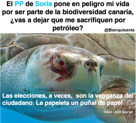 El Pp de Soria pone en peligro mi vida, por ser parte de la biodiversidad canaria