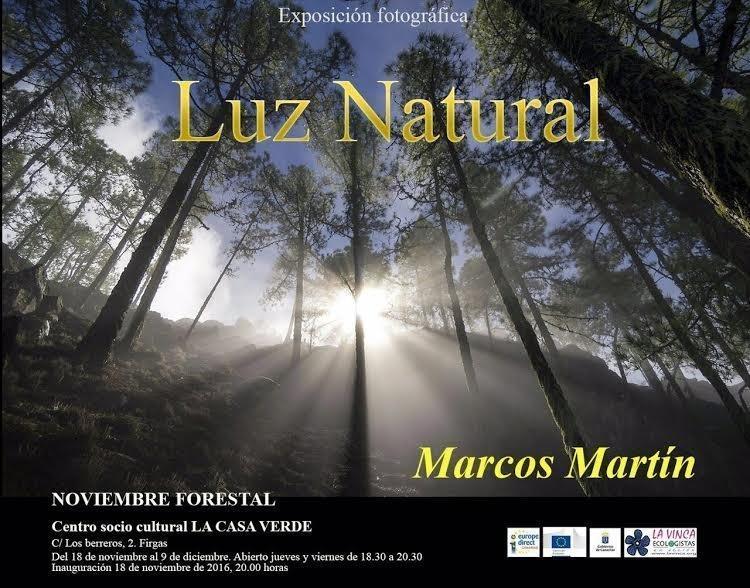 LUZ NATURAL MARCOS MARTÍN