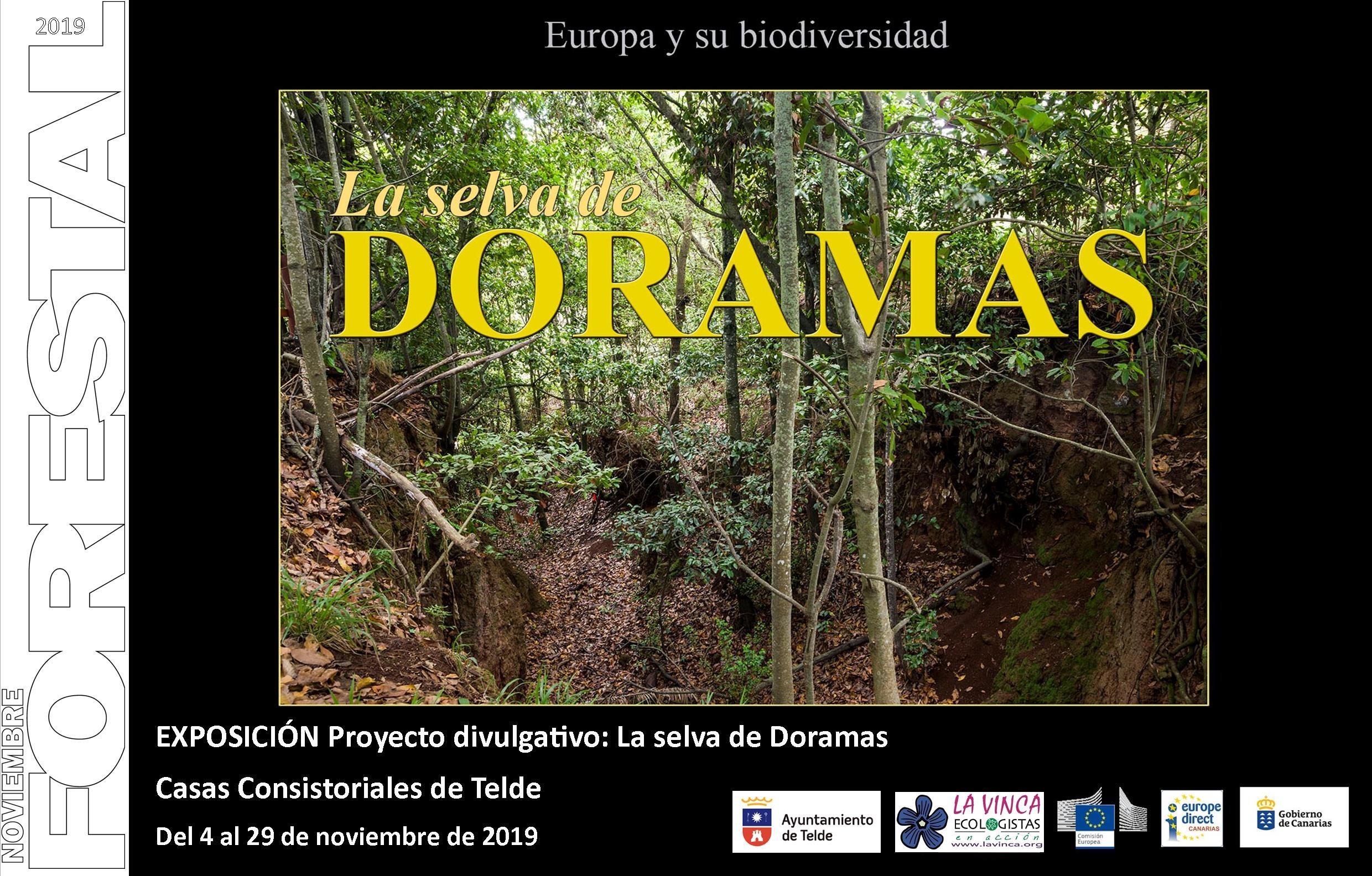 Selva Doramas - Casas Consistoriales TELDE 2019