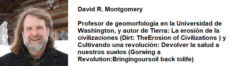 DAVID R MONTGOMERY
