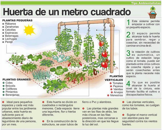 HUERTA UN METRO