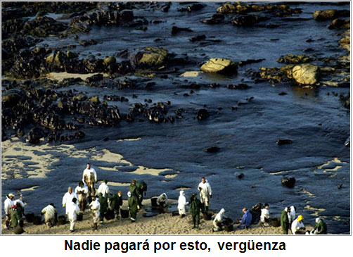 nadie pagar&aacute; por el prestige