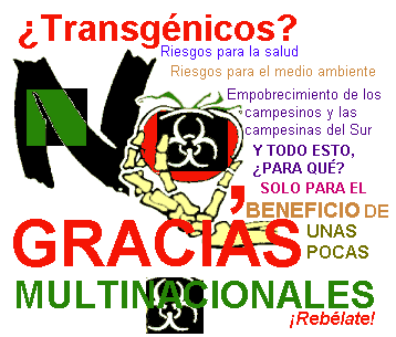 transgenicos