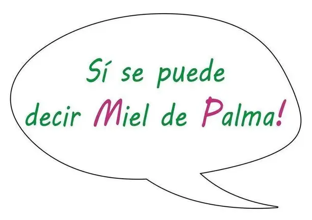 MIEL DE PALMA 2