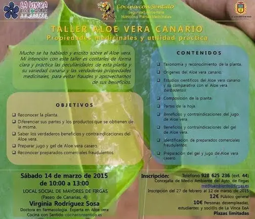 aloe vera