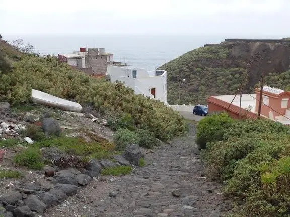 MOYA BARRANCO LOS DRAGOS LA VINCA
