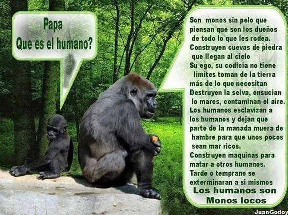 QU&Eacute; ES EL HUMANO