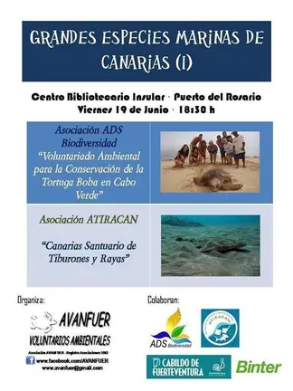 GRANDES ESPECIES MARINAS DE CANARIAS