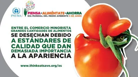 dia medio ambiente 2013
