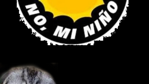 cuatroi gatos