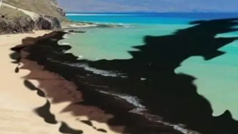 LOS VERTIDOS S&Iacute;