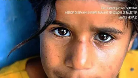 no hay esperanza para gaza