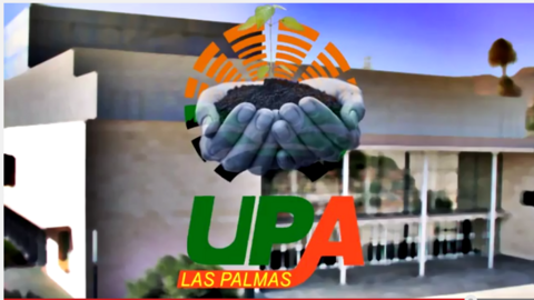 upa las palmas