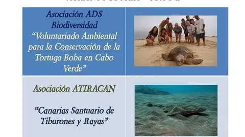 GRANDES ESPECIES MARINAS DE CANARIAS