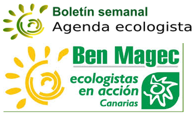 boletín ben magec