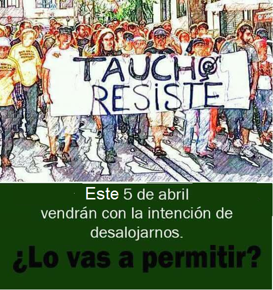 taucho resiste