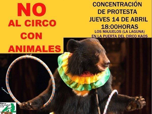 NO CIRCO ANIMALES