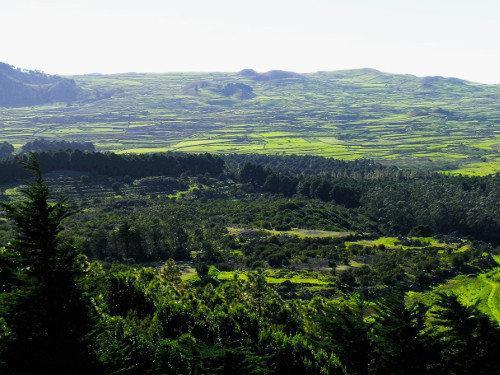 VENTEJIS EL HIERRO OSSINISSA