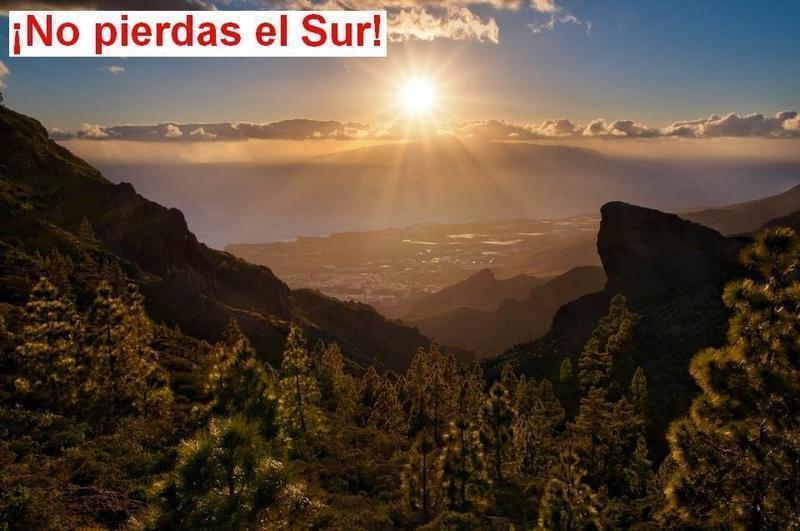 no pierdas el sur