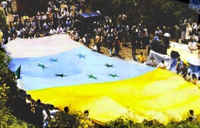 bandera canaria manifa