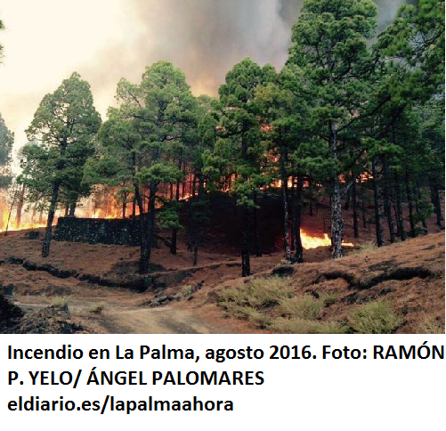 INCENDIO LA PALMA AGOSTO 16