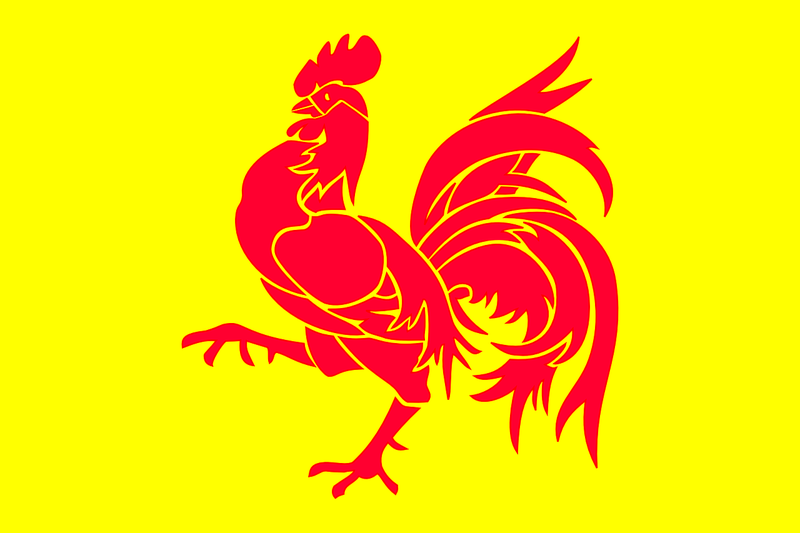 bandera valonia