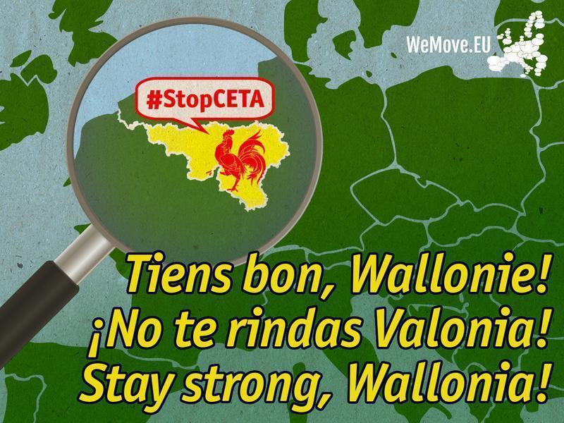 NO TE RINDAS VALONIA