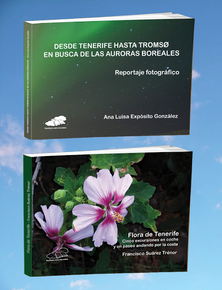 LIBROS ESCRITURA NUBES 1