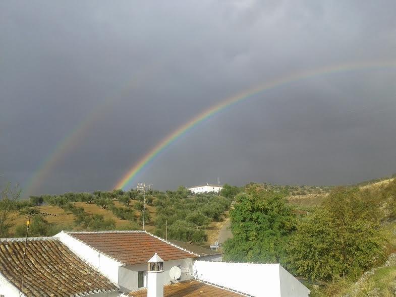 arco iris sedano