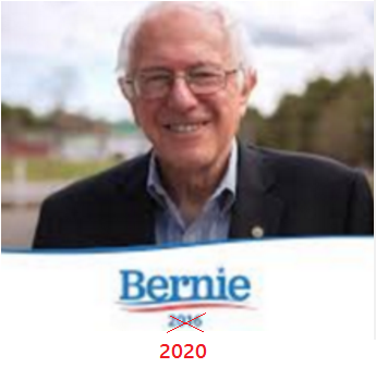 bernie sanseres 2020