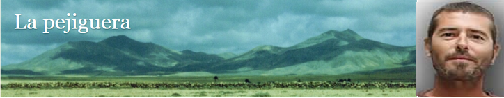 la pejiguera jesús giráldez