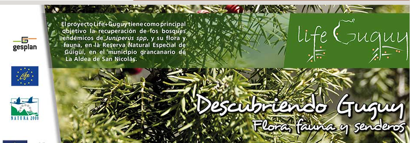 life guguy 2