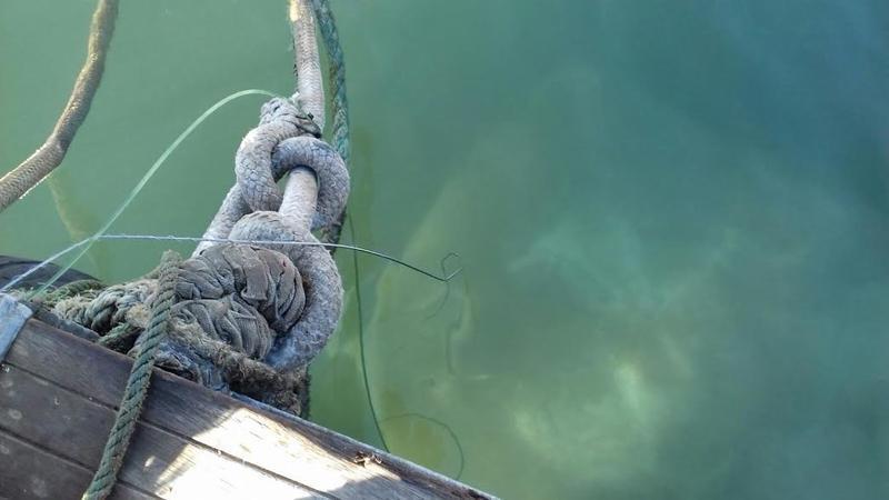 pesca ilegal castillo romeral 2