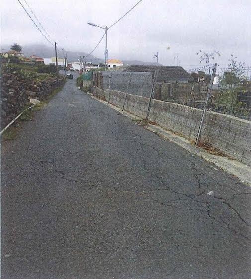 camino el hurón