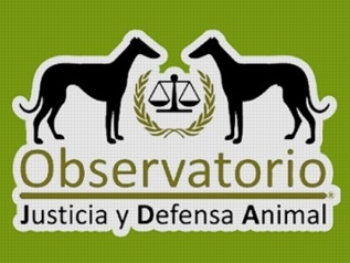observatorio justicia defensa animal