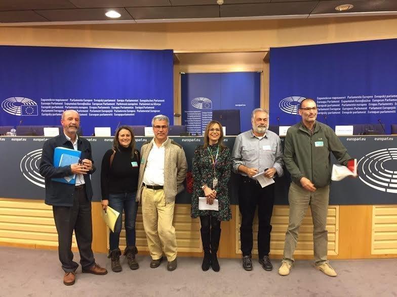 bruselas canarias territorio sostenible