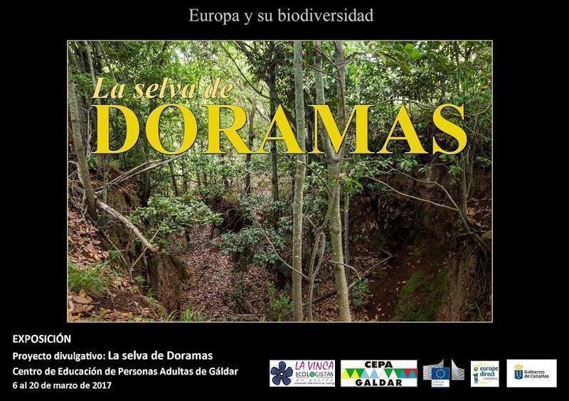 selva doramas