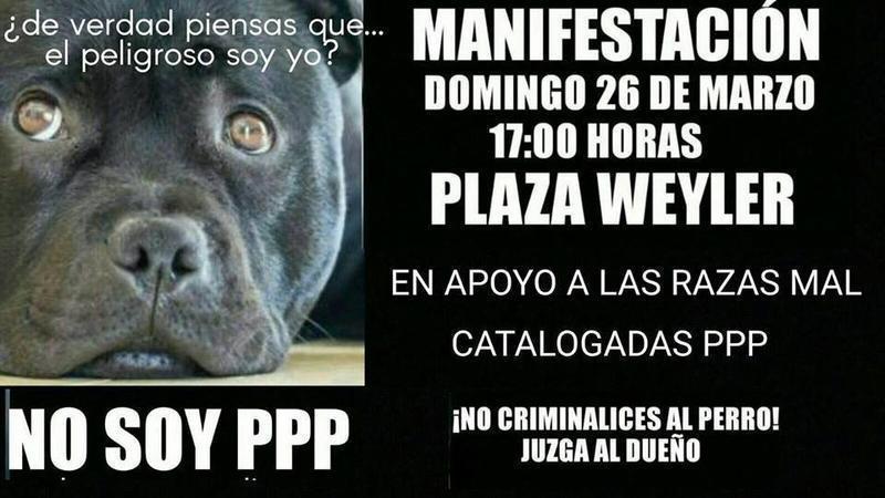 perros ppp 26 m