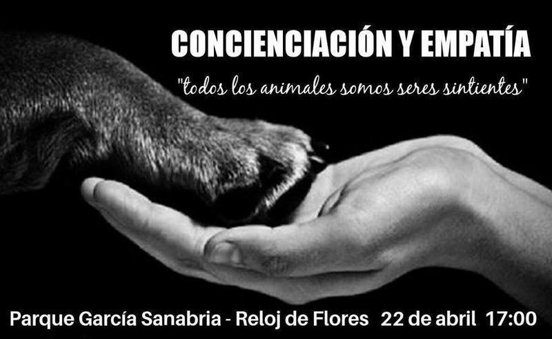 sctf contra maltrato 22 a