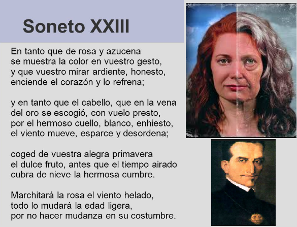soneto garcilaso