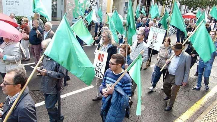 pgo participativo la laguna