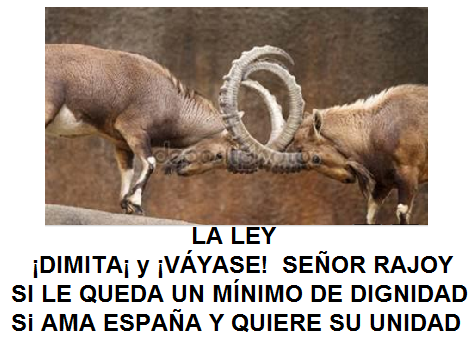dimite rajoy