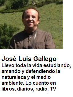 JOSÉ LUIS GALLEGO RESEÑA