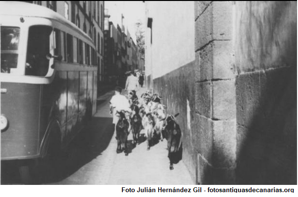 CABRAS EN VEGUETA