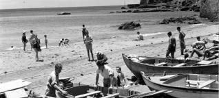 SARDINA DEL NORTE