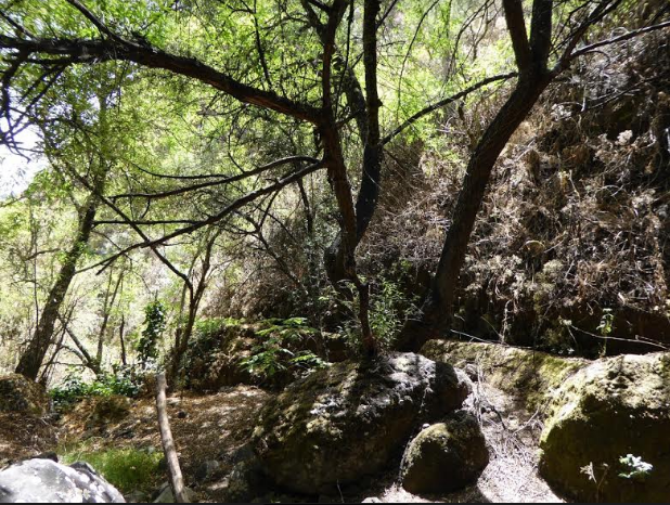 barranco la mina