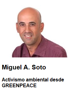 MIGUEL A SOTO RESEÑA