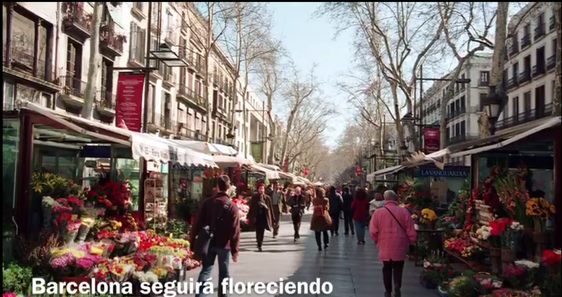 barcelona 5