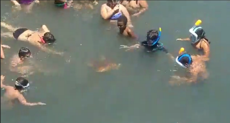 suelta tortugas bioagaete atiracan