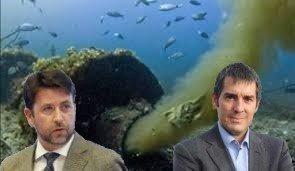 clavijo alonso vertidos